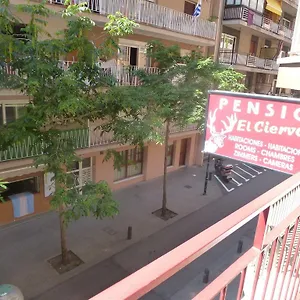 Pension El Ciervo Lloret de Mar